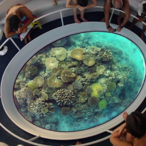 Glass Bottom Boat Trip in Sharm el Sheikh