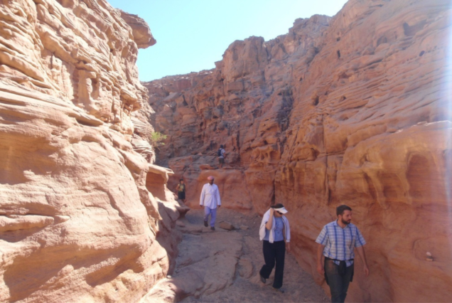 St. Catherine's Trip from Sharm El Sheikh