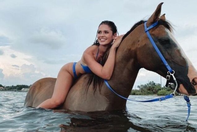 Sharm El-Sheikh: Horse Ride Along Beach and Desert Trails